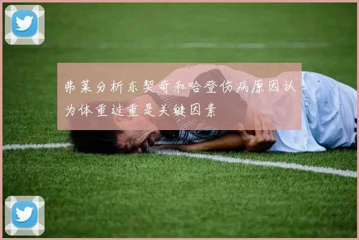 弗莱分析东契奇和哈登伤病原因认为体重过重是关键因素